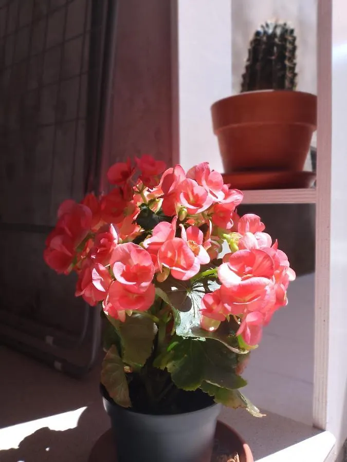Stegia Villa Arcola Holiday home